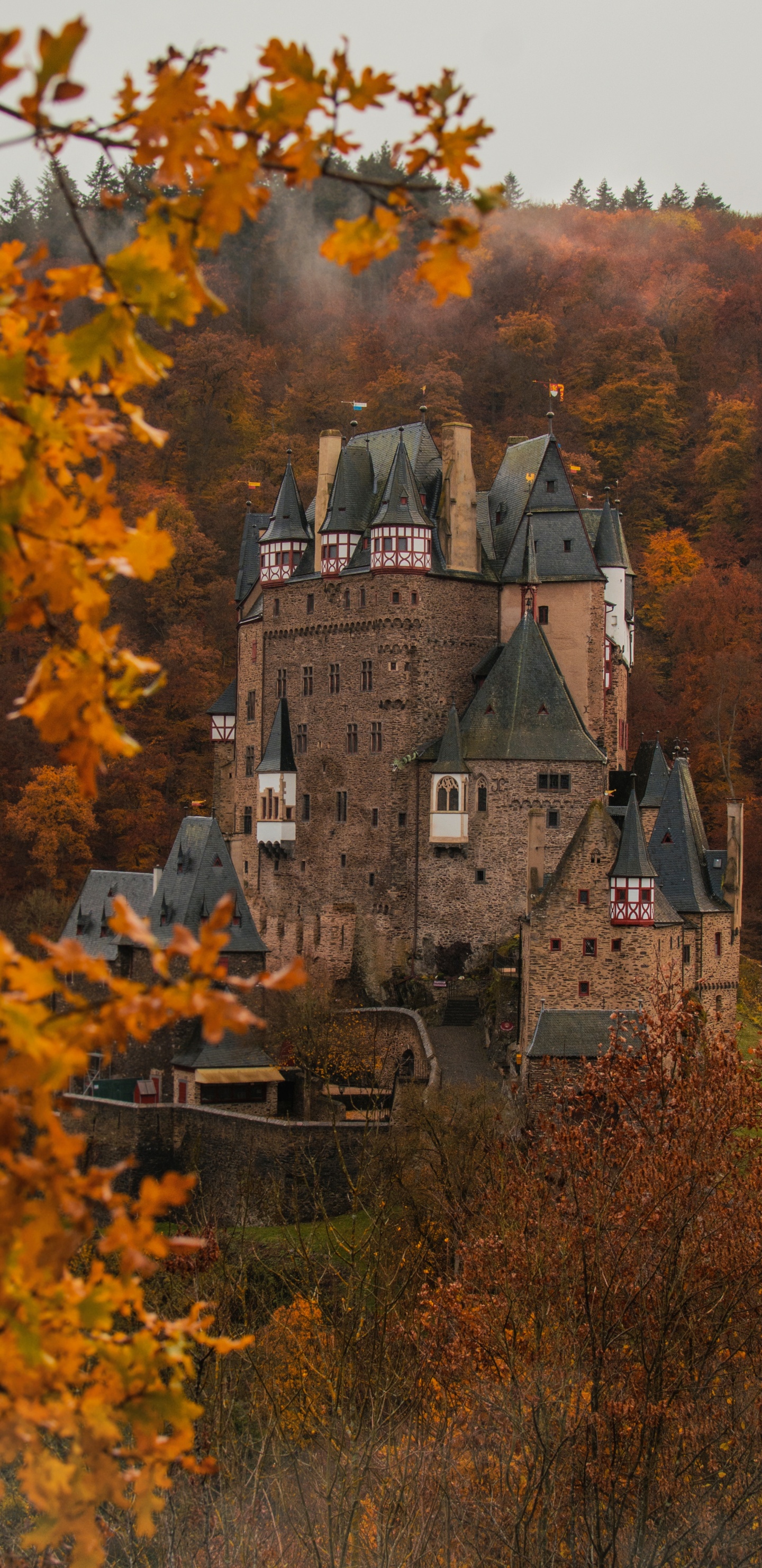 Обои Эльц, Замок Эльц, замок, лист, дерево в разрешении 1440x2960