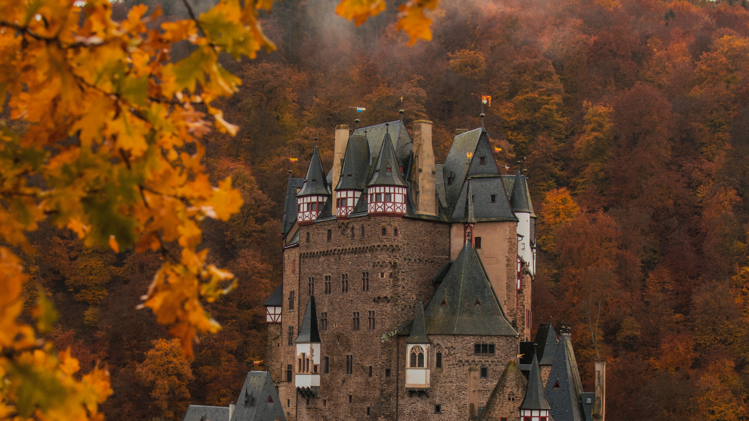 Обои Эльц, Замок Эльц, замок, лист, дерево в разрешении 2560x1440