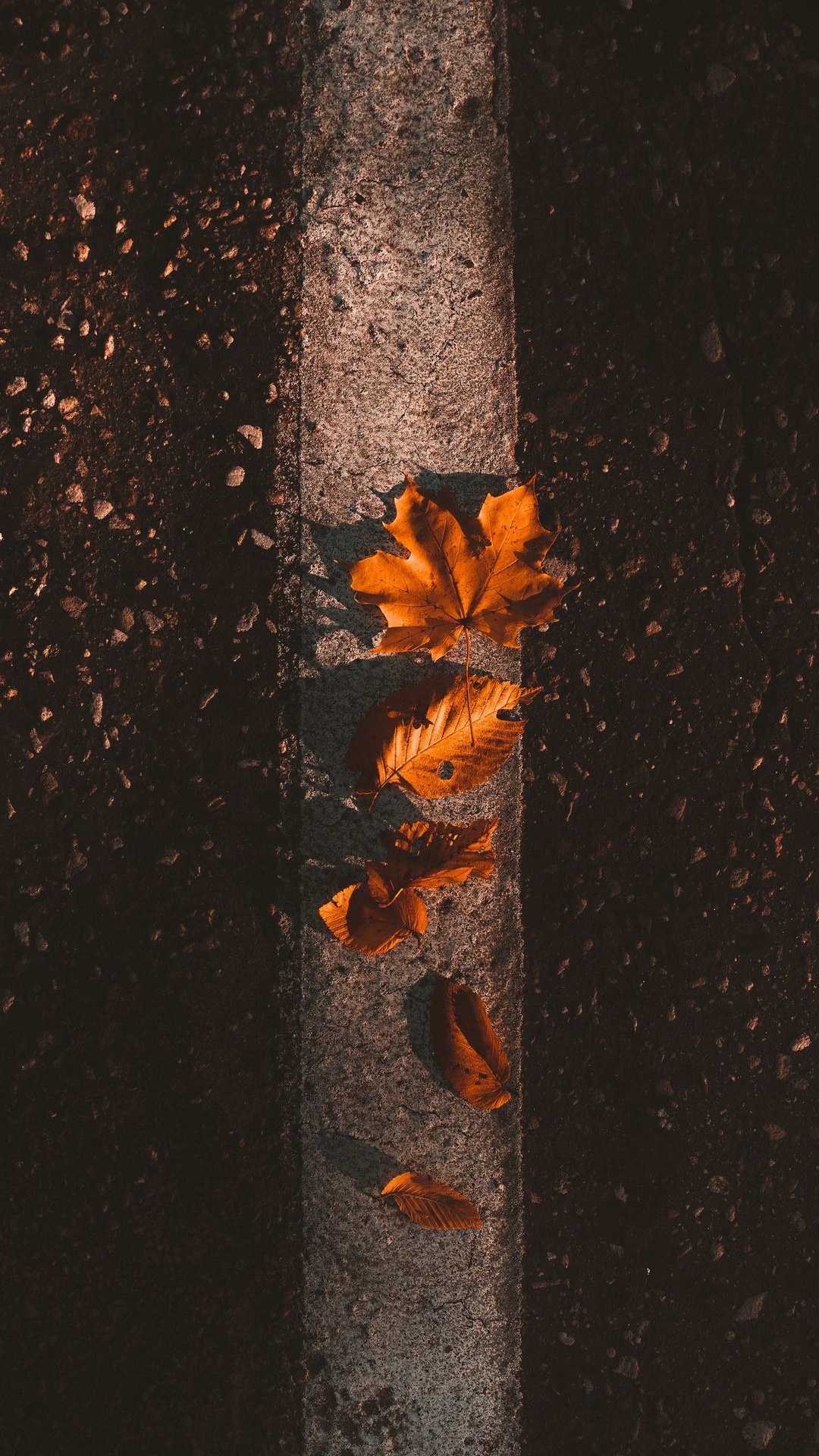 Обои Оранжевый цвет, осень, лист, кленовый лист, древесина в разрешении 1080x1920