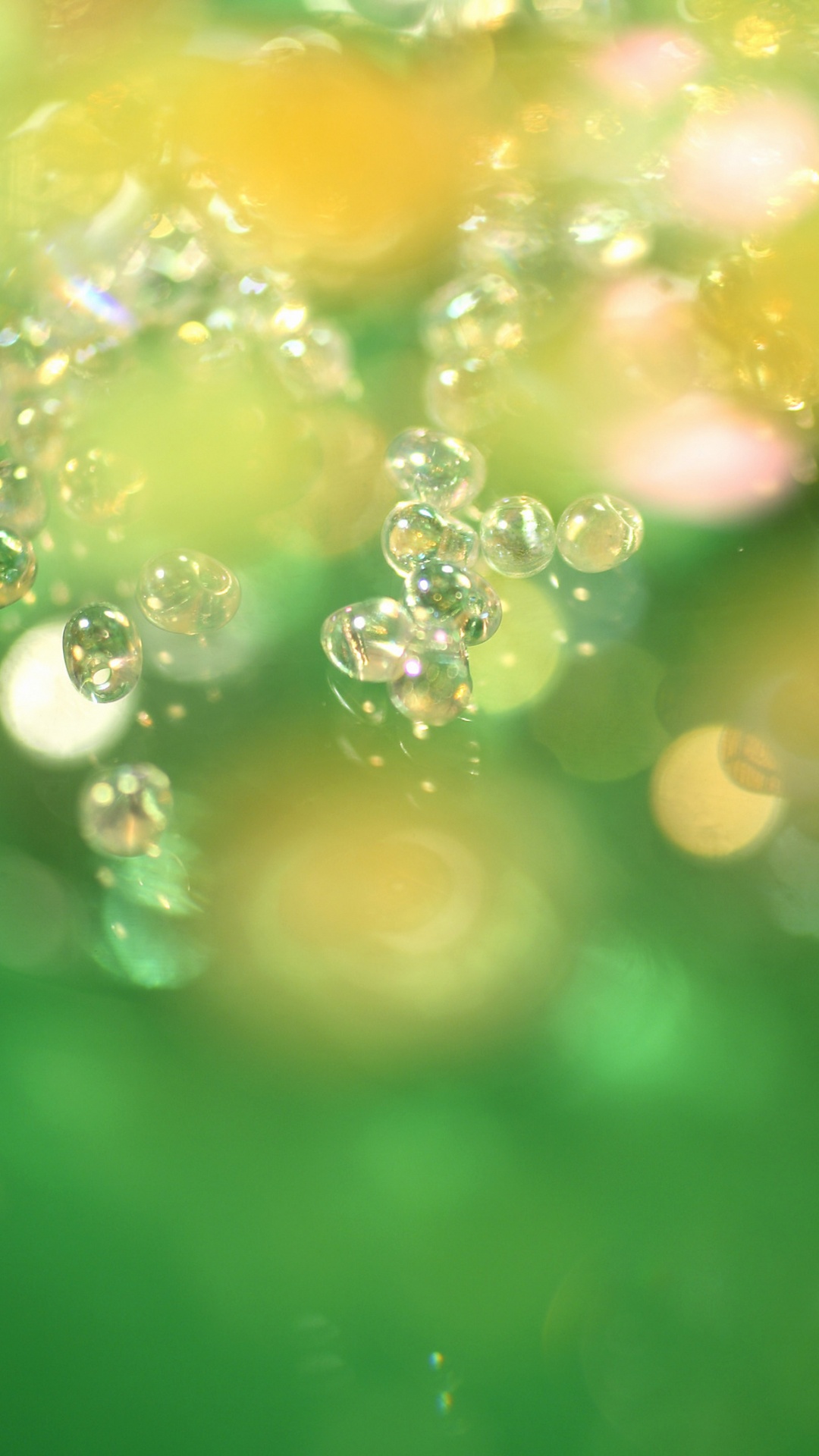 Обои зеленый, вода, влага, роса, солнечный свет в разрешении 1080x1920