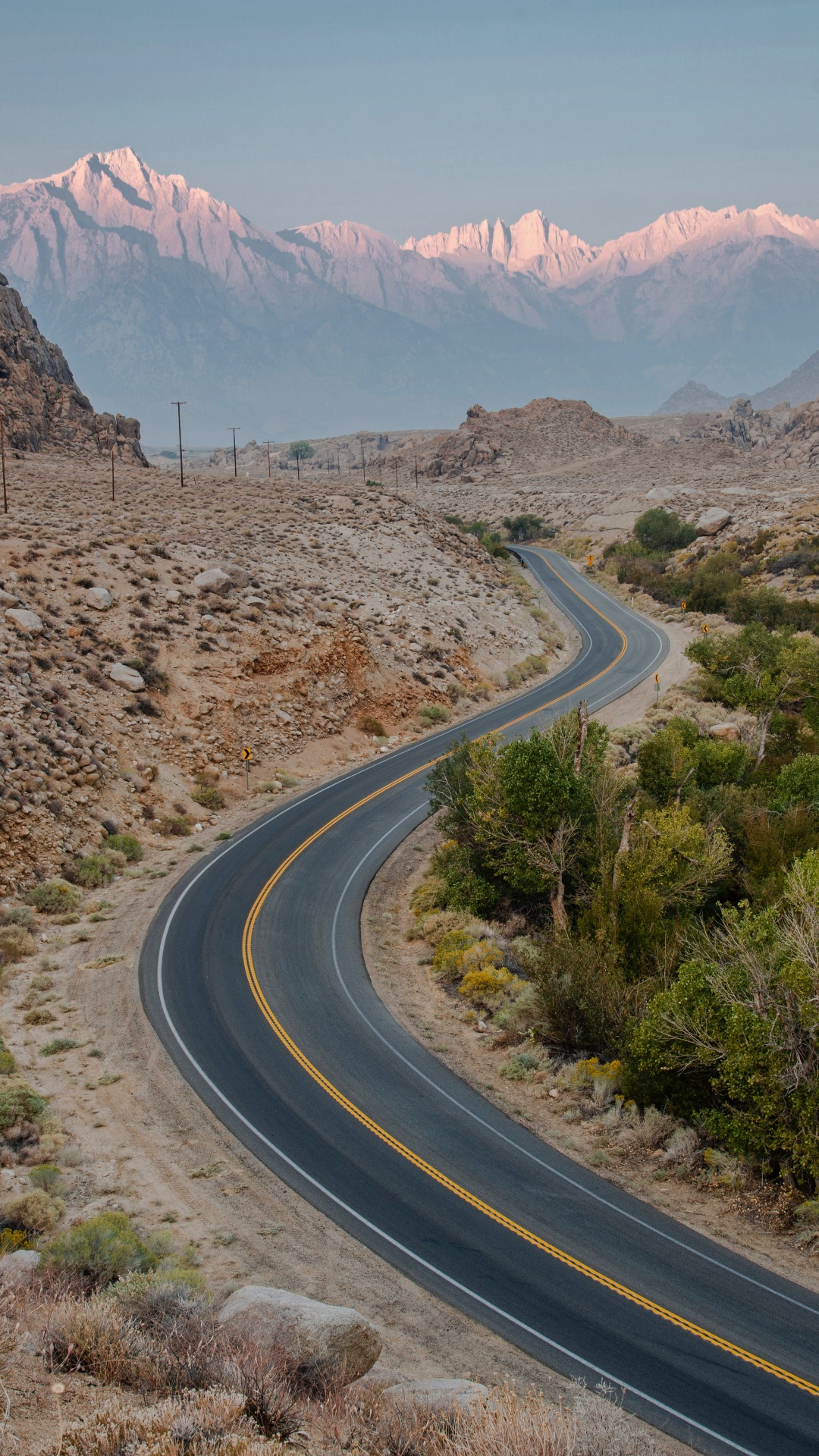 Обои коричневый цвет, гора, растение, природный ландшафт, дорожное покрытие в разрешении 1080x1920