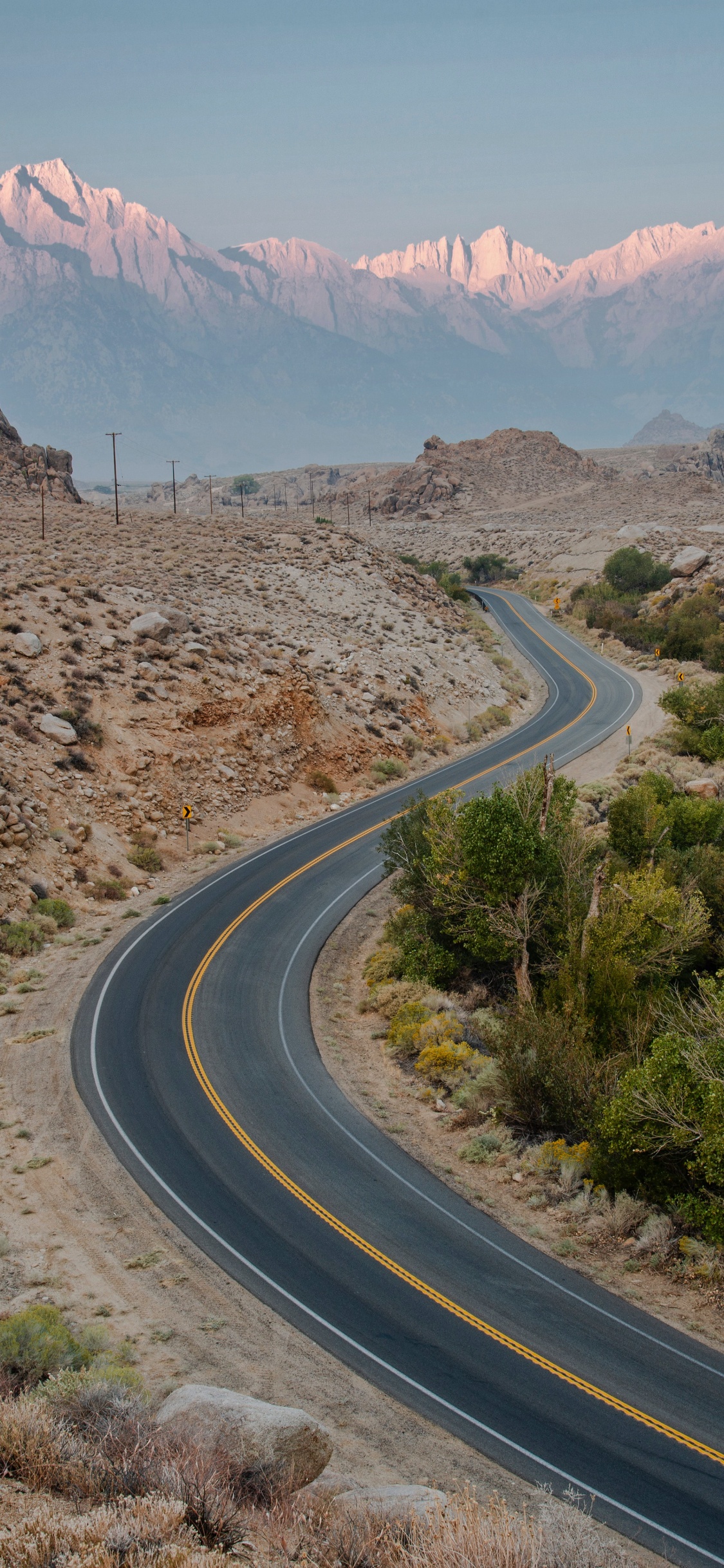 Обои коричневый цвет, гора, растение, природный ландшафт, дорожное покрытие в разрешении 1125x2436