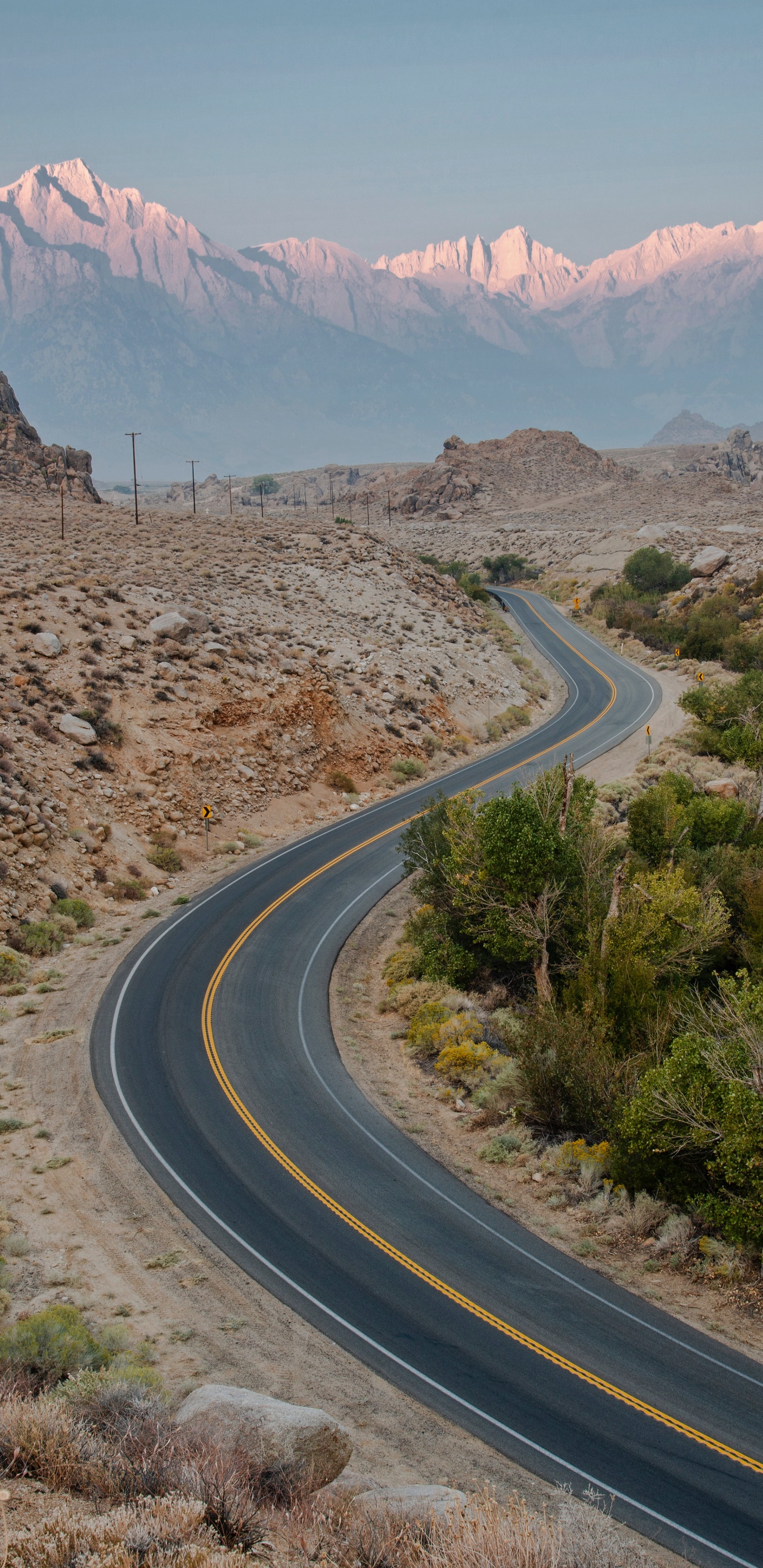 Обои коричневый цвет, гора, растение, природный ландшафт, дорожное покрытие в разрешении 1440x2960