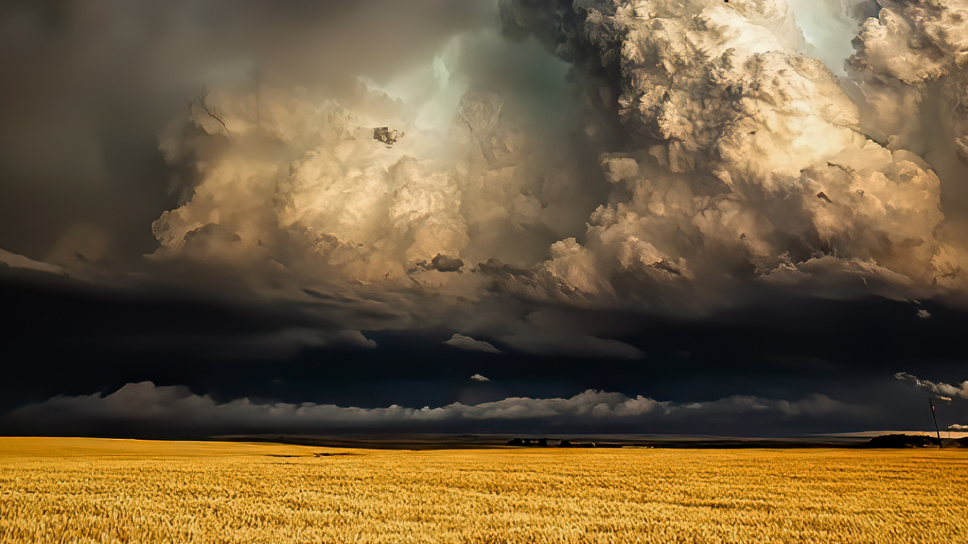 Обои облако, буря, растение, атмосфера, природный ландшафт в разрешении 1366x768