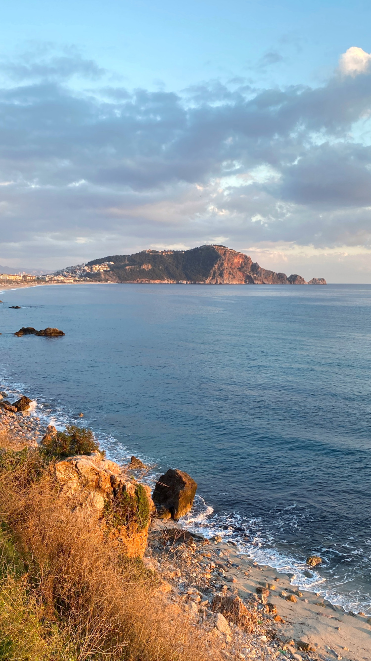 Обои Клеопатра Бич, вода, облако, лазурный, растение в разрешении 750x1334