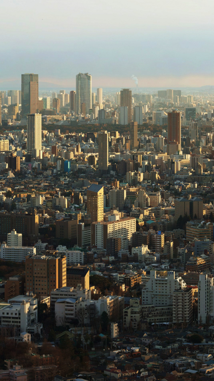 Обои Эмпайр Стейт Билдинг, небоскреб, городской пейзаж, город, метрополия в разрешении 750x1334