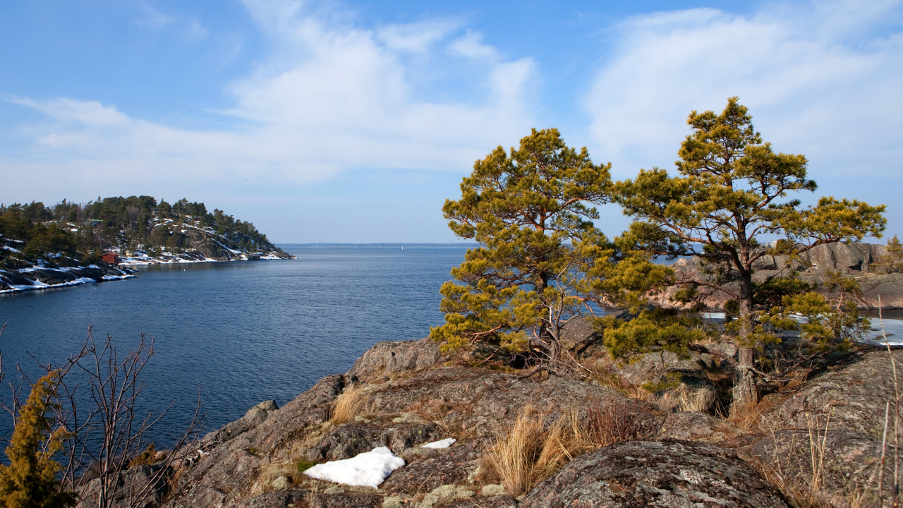 Обои побережье, море, залив, берег, дерево в разрешении 1280x720