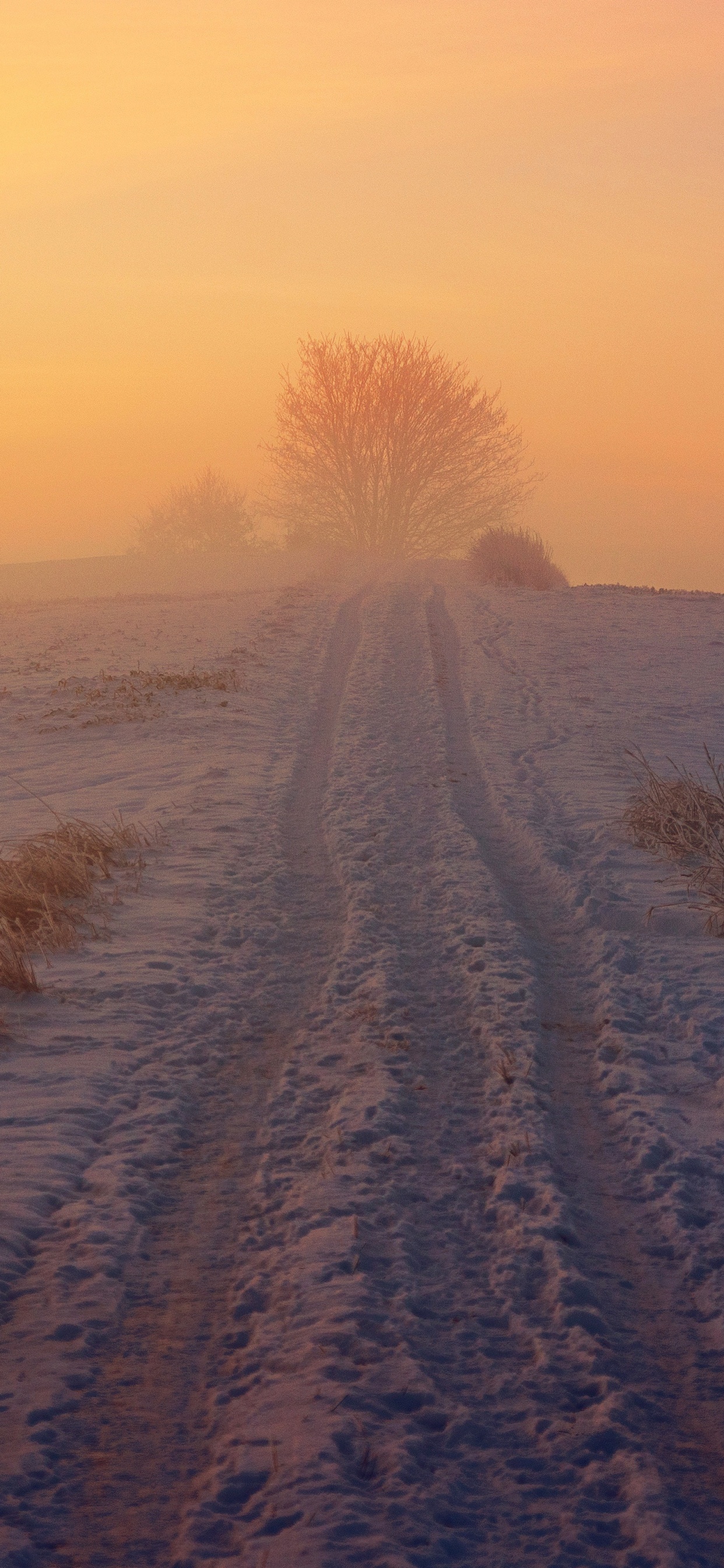 Обои степ, снег, зима, тундра, атмосфера в разрешении 1242x2688