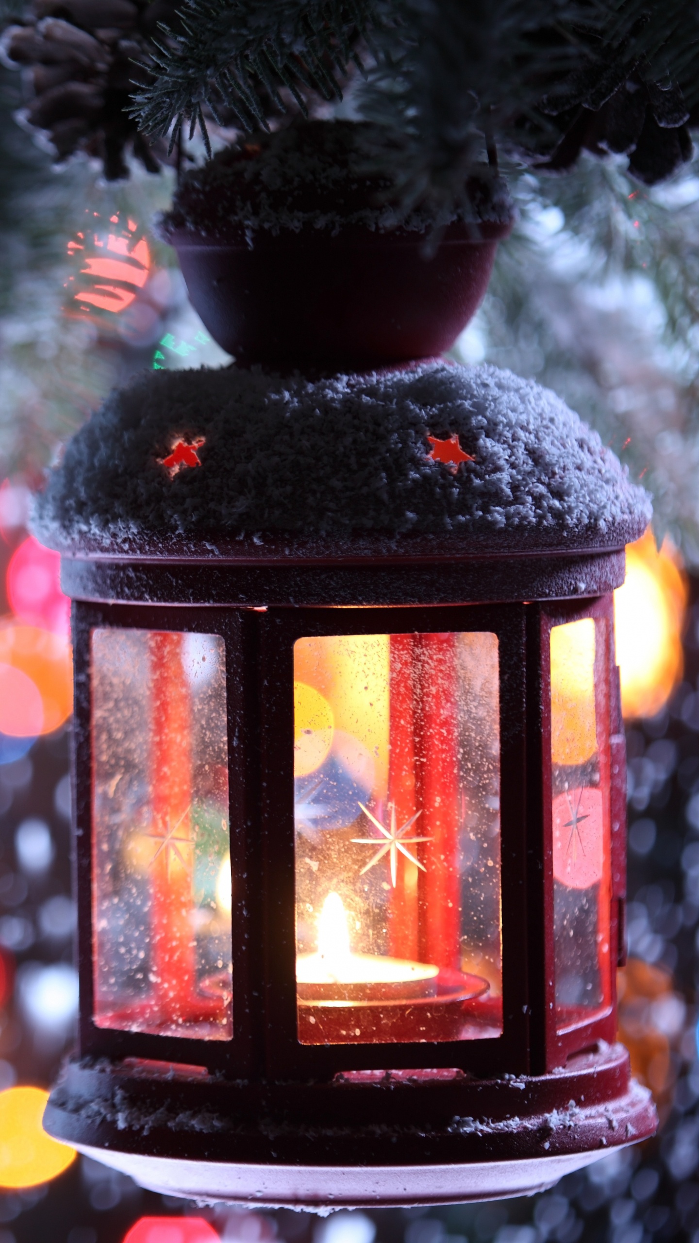 Обои Рождественский день, освещение, елка, дерево, зима в разрешении 1440x2560