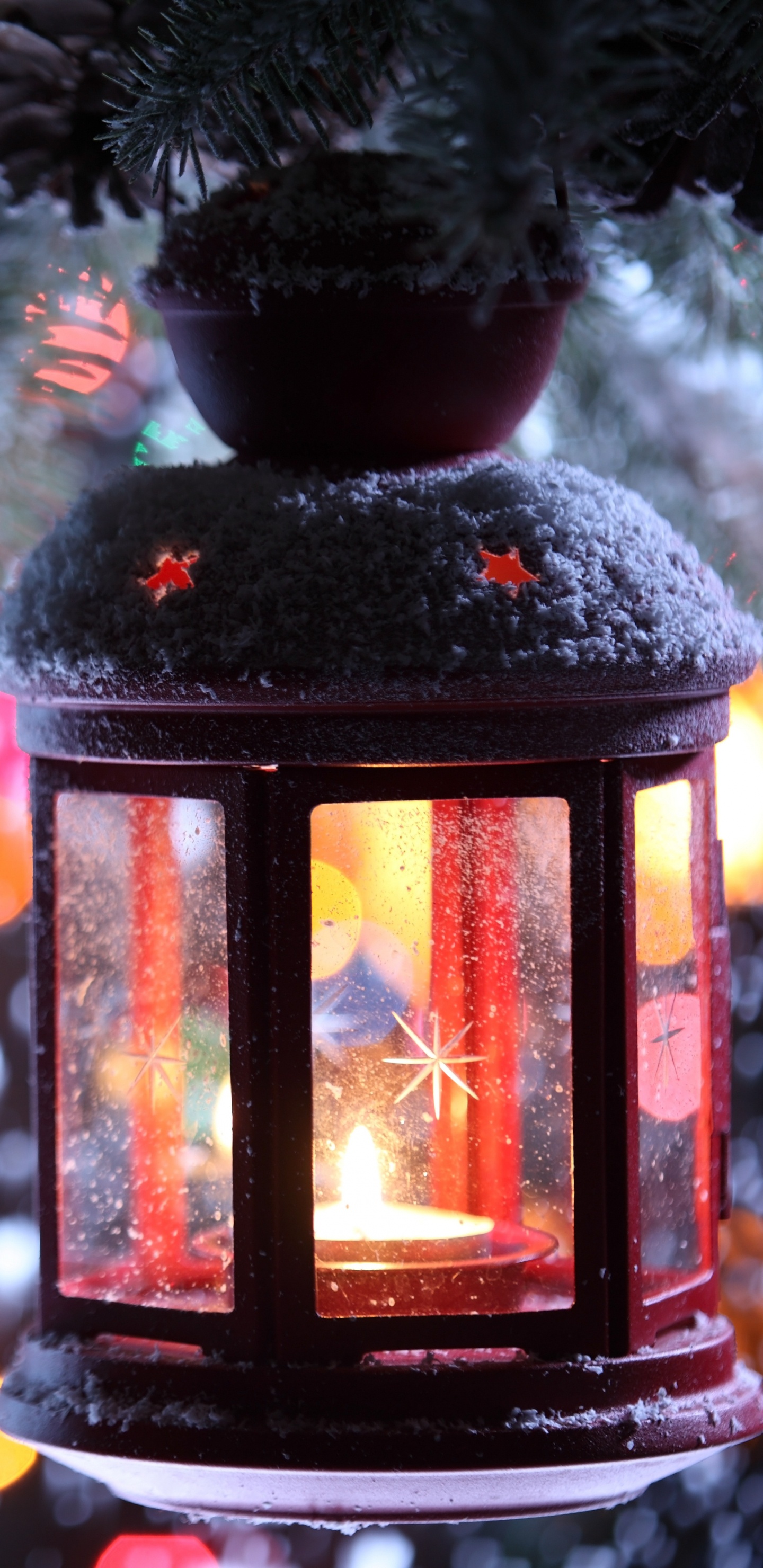 Обои Рождественский день, освещение, елка, дерево, зима в разрешении 1440x2960