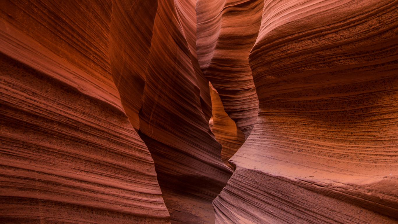 Обои большой каньон, каньон, формирование, пейзаж, древесина в разрешении 1366x768