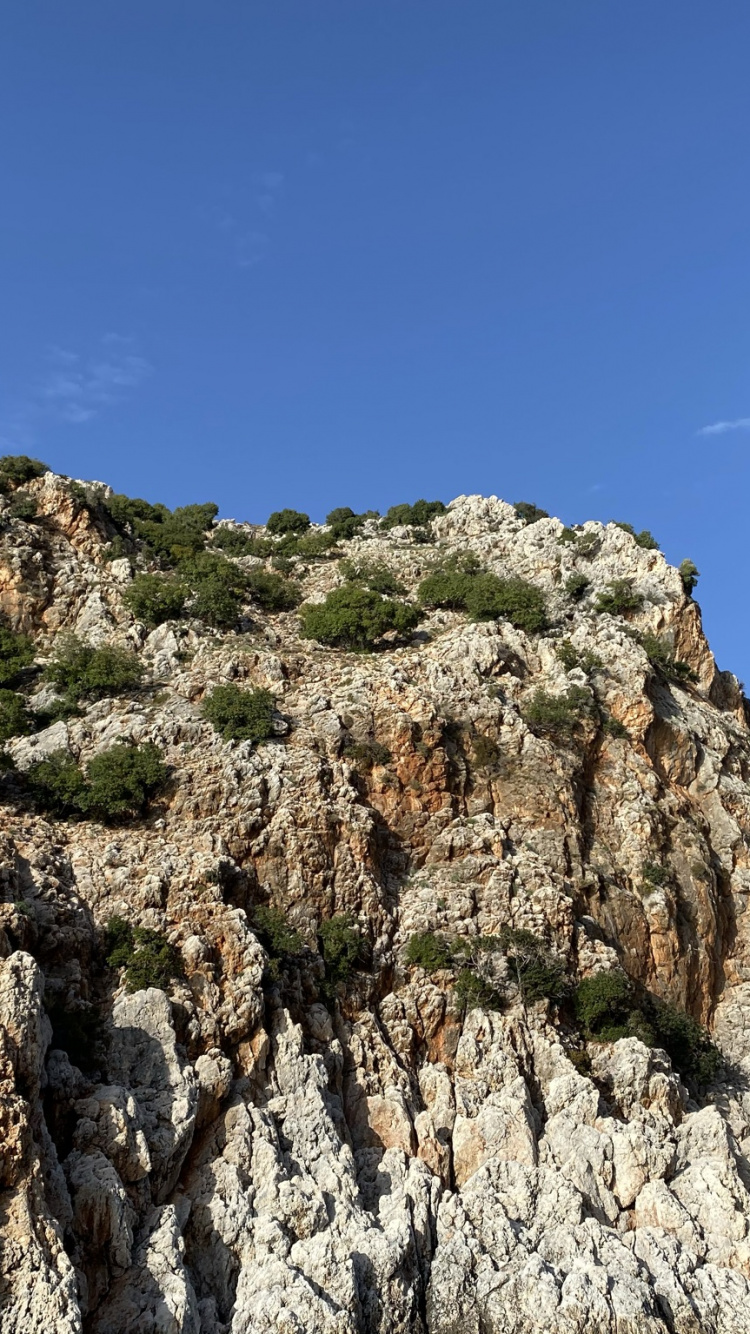 Обои гора, коренная порода, растение, природный ландшафт, склон в разрешении 750x1334