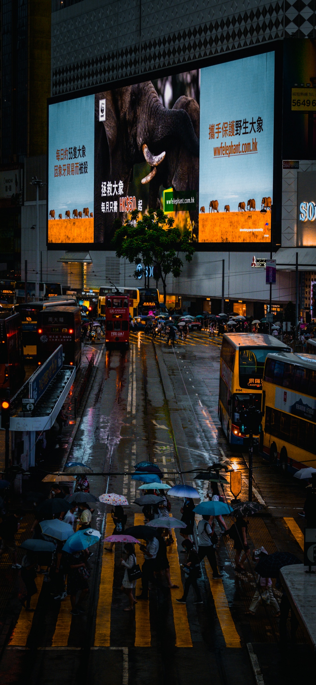 Обои отражение, автобус, автомобильное освещение, электричество, проезд в разрешении 1242x2688