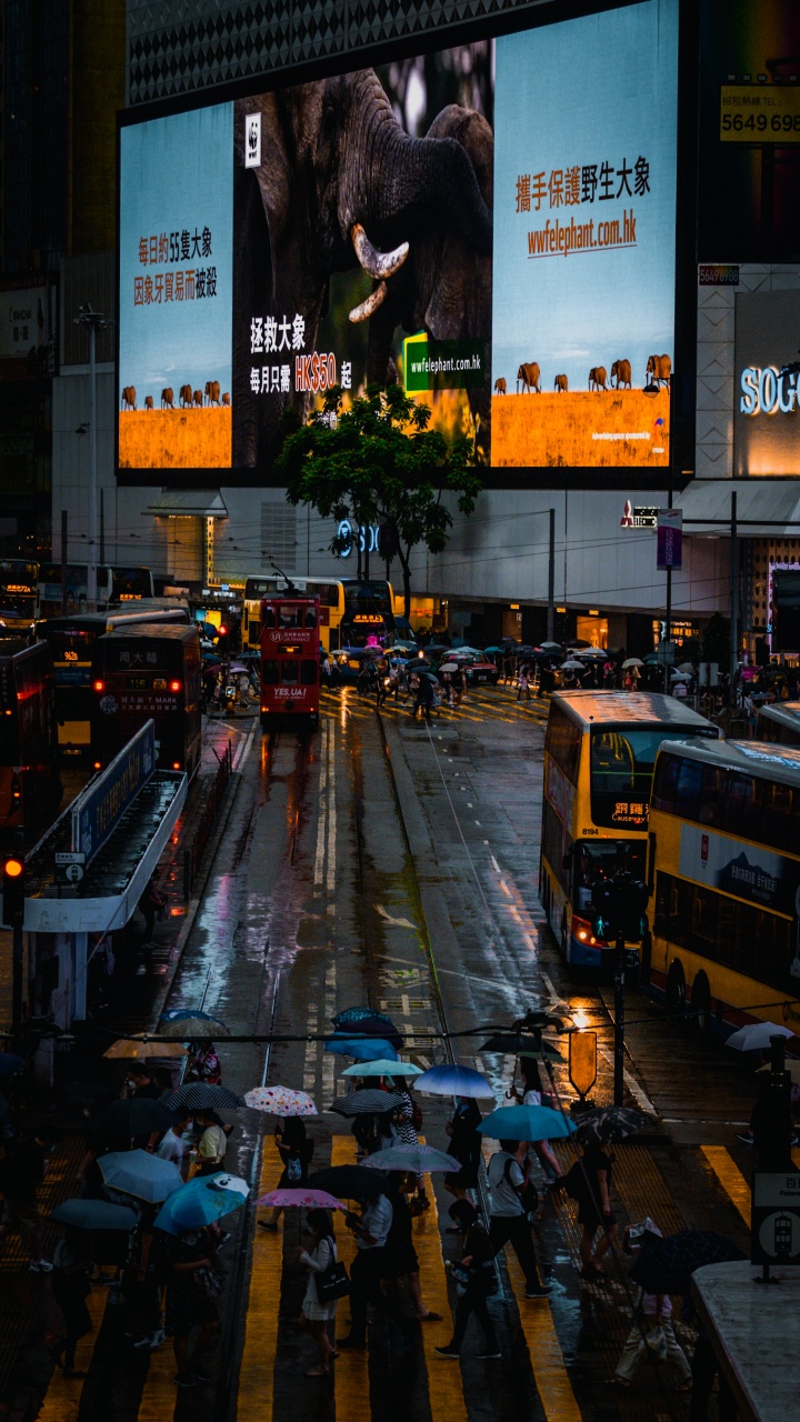 Обои отражение, автобус, автомобильное освещение, электричество, проезд в разрешении 720x1280