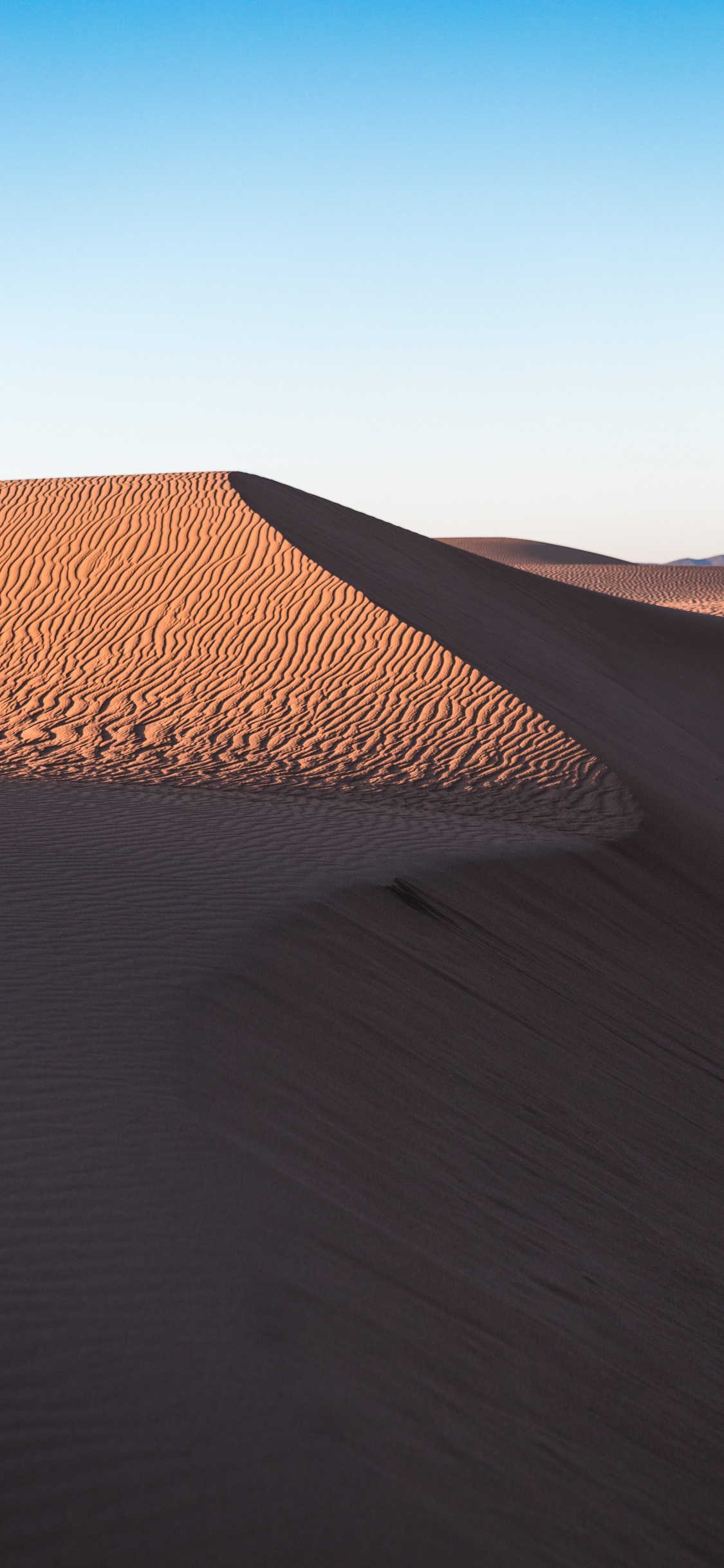 Обои поющий песок, математика, склон, природный ландшафт, эрг в разрешении 1125x2436
