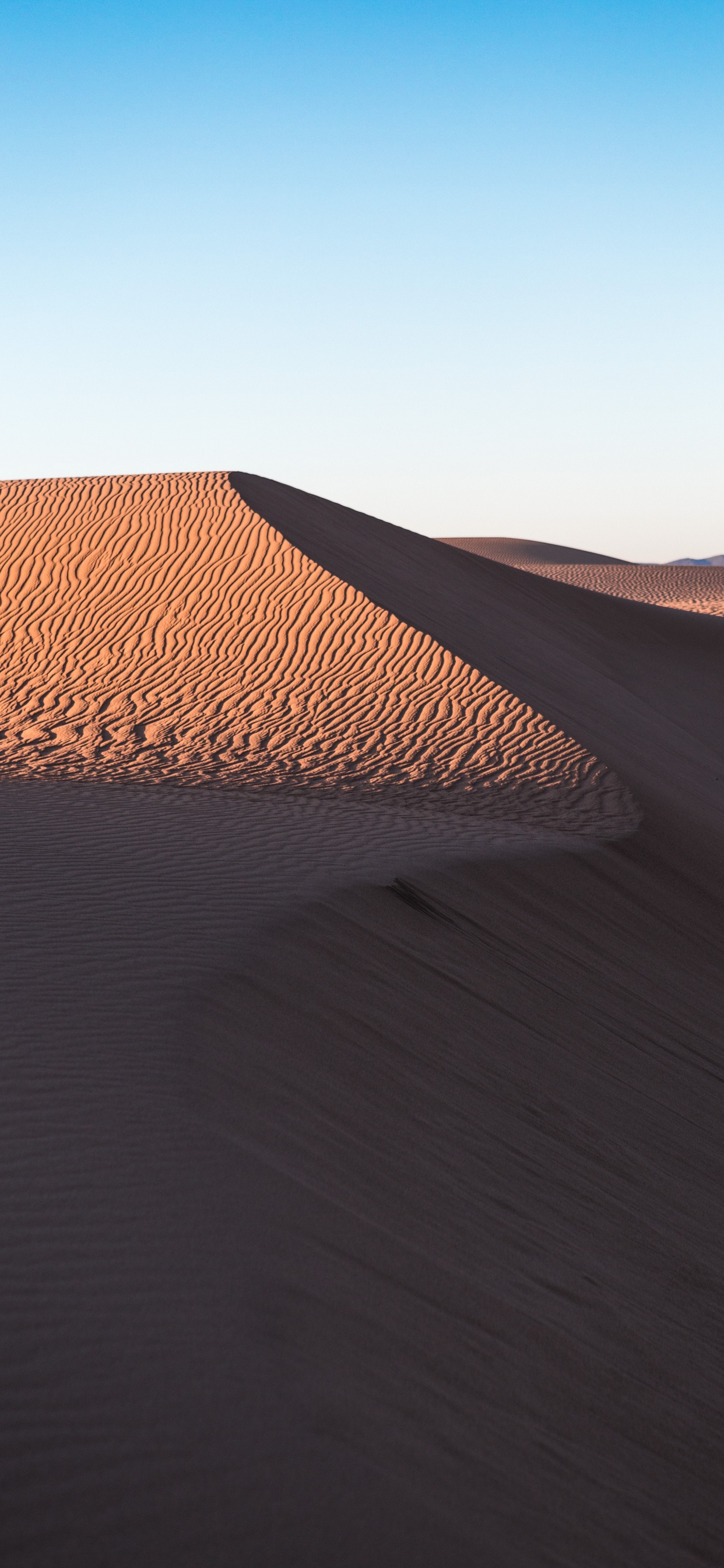 Обои поющий песок, математика, склон, природный ландшафт, эрг в разрешении 1242x2688