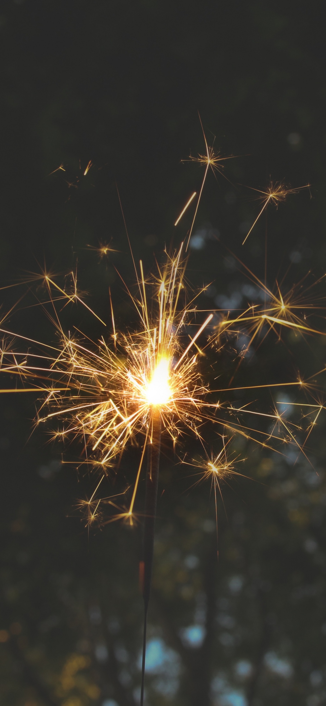 Обои огонь, салют, бенгальский огонь, дивали, праздник в разрешении 1125x2436