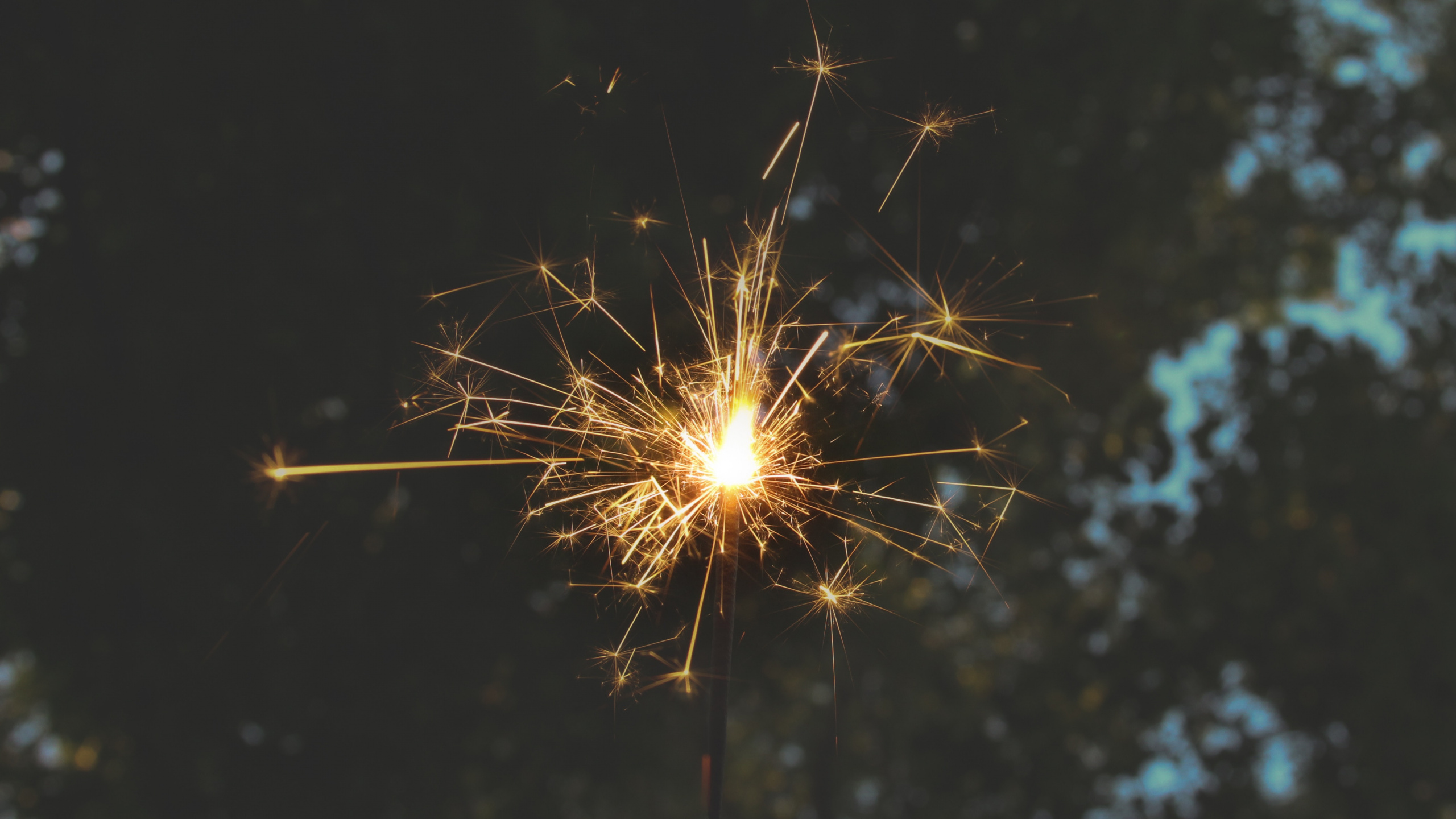 Обои огонь, салют, бенгальский огонь, дивали, праздник в разрешении 2560x1440