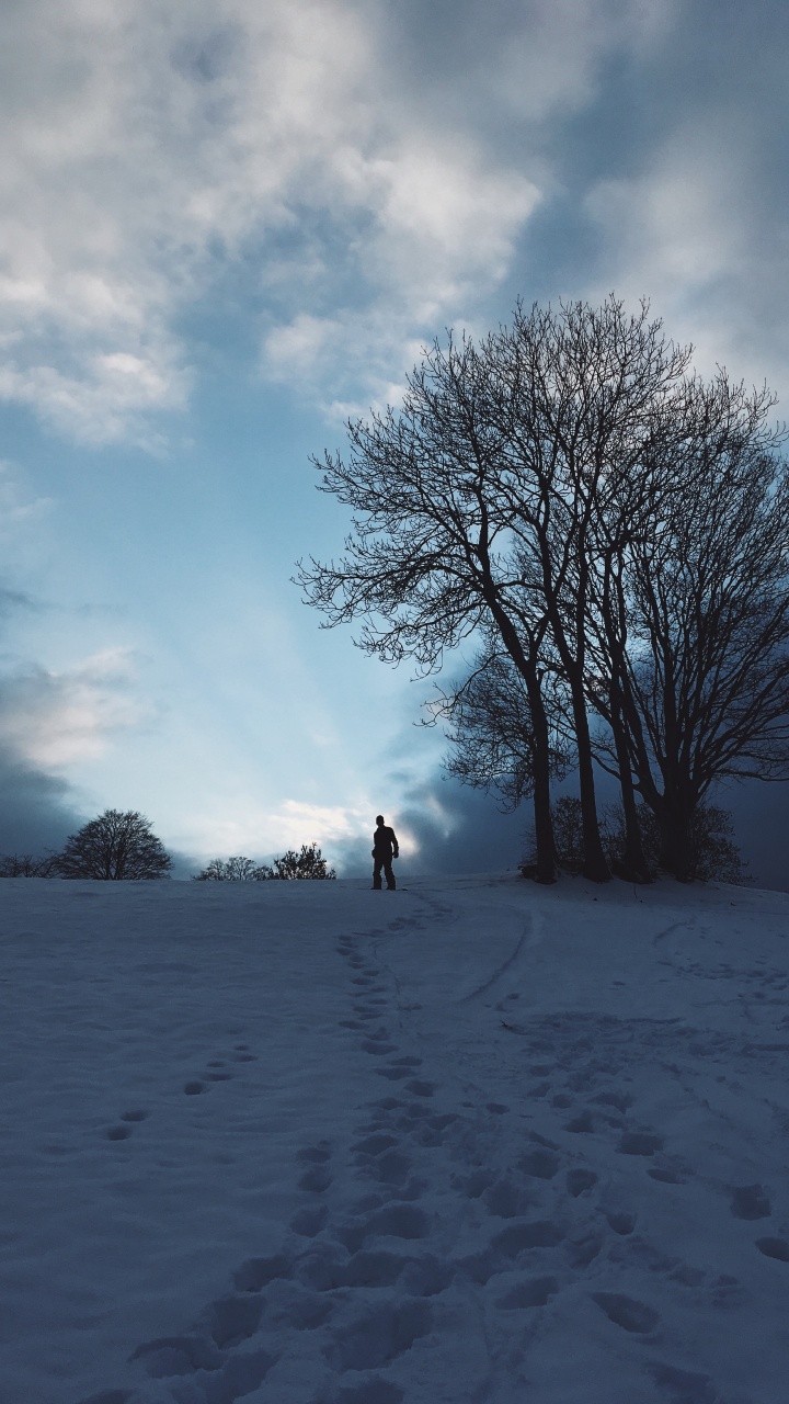 Обои снег, зима, облако, дерево, замораживание в разрешении 720x1280