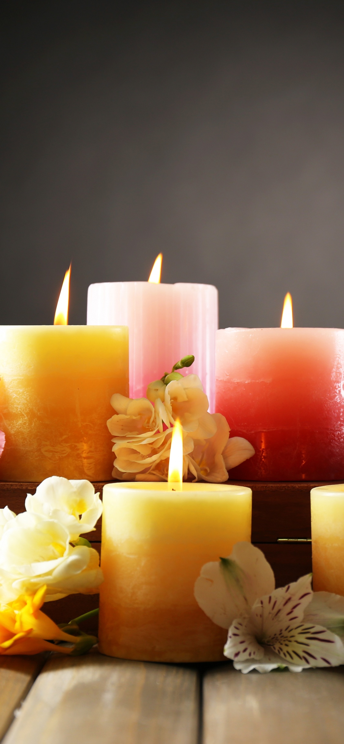 Обои свеча, цветок, освещение, воск, желтый в разрешении 1125x2436