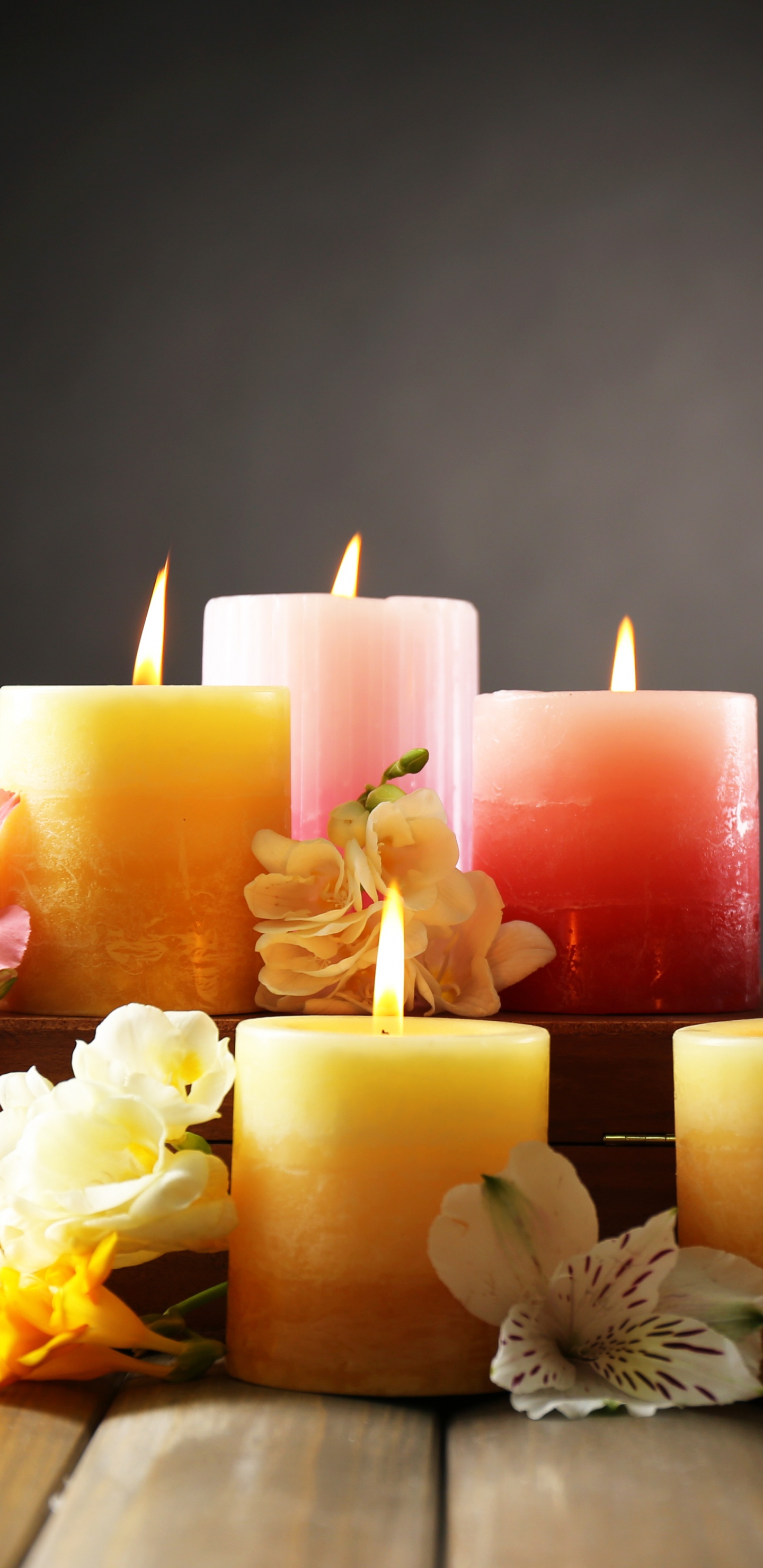Обои свеча, цветок, освещение, воск, желтый в разрешении 1440x2960