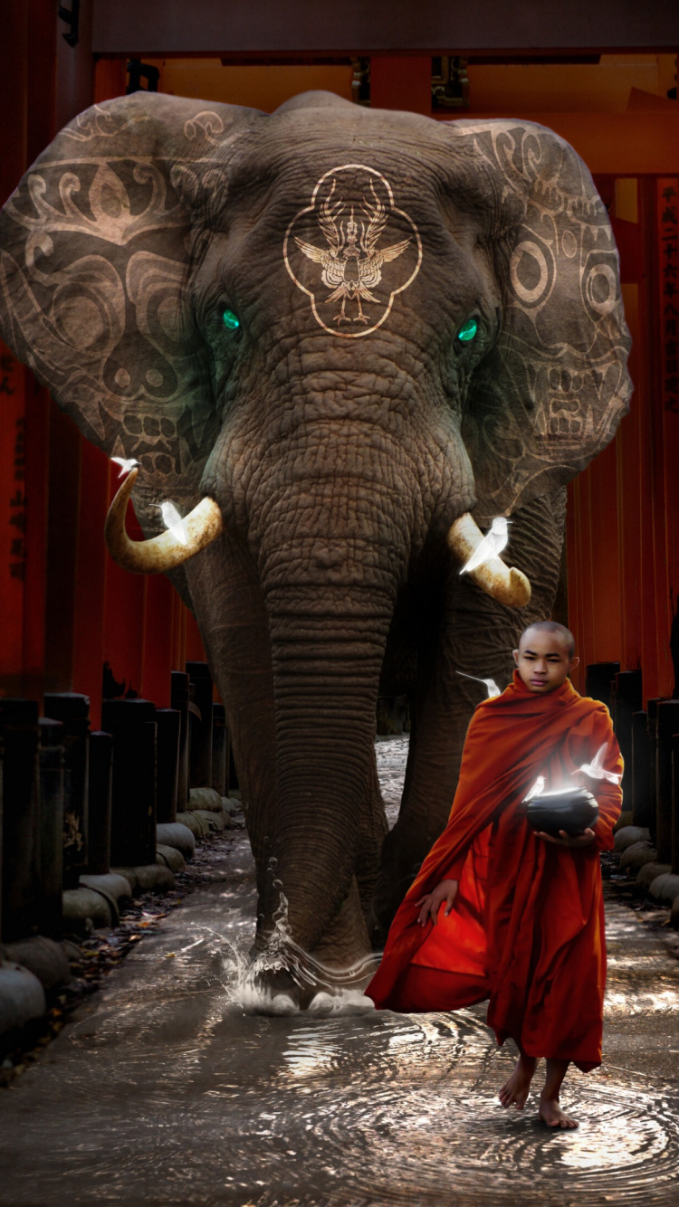 Обои слоны и мамонты, Слон, храм, африканский слон, индийский слон в разрешении 750x1334