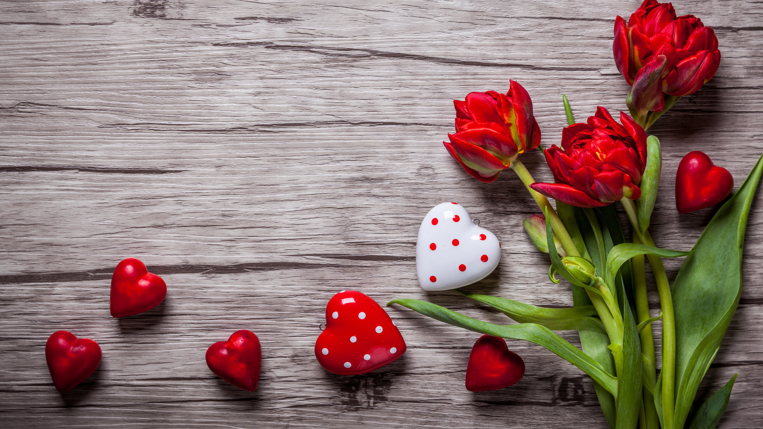 Обои красный цвет, тюльпаны, цветок, растение, лепесток в разрешении 2560x1440
