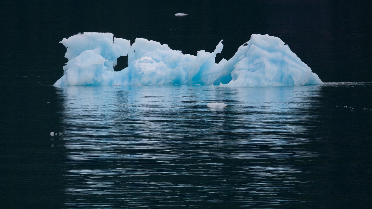 Обои айсберг, Северный Ледовитый океан, полярные льды, лед, морской лед в разрешении 1280x720