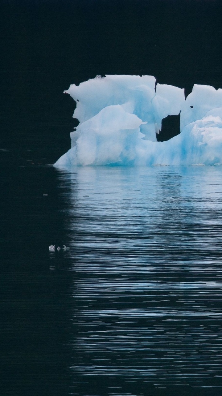 Обои айсберг, Северный Ледовитый океан, полярные льды, лед, морской лед в разрешении 720x1280
