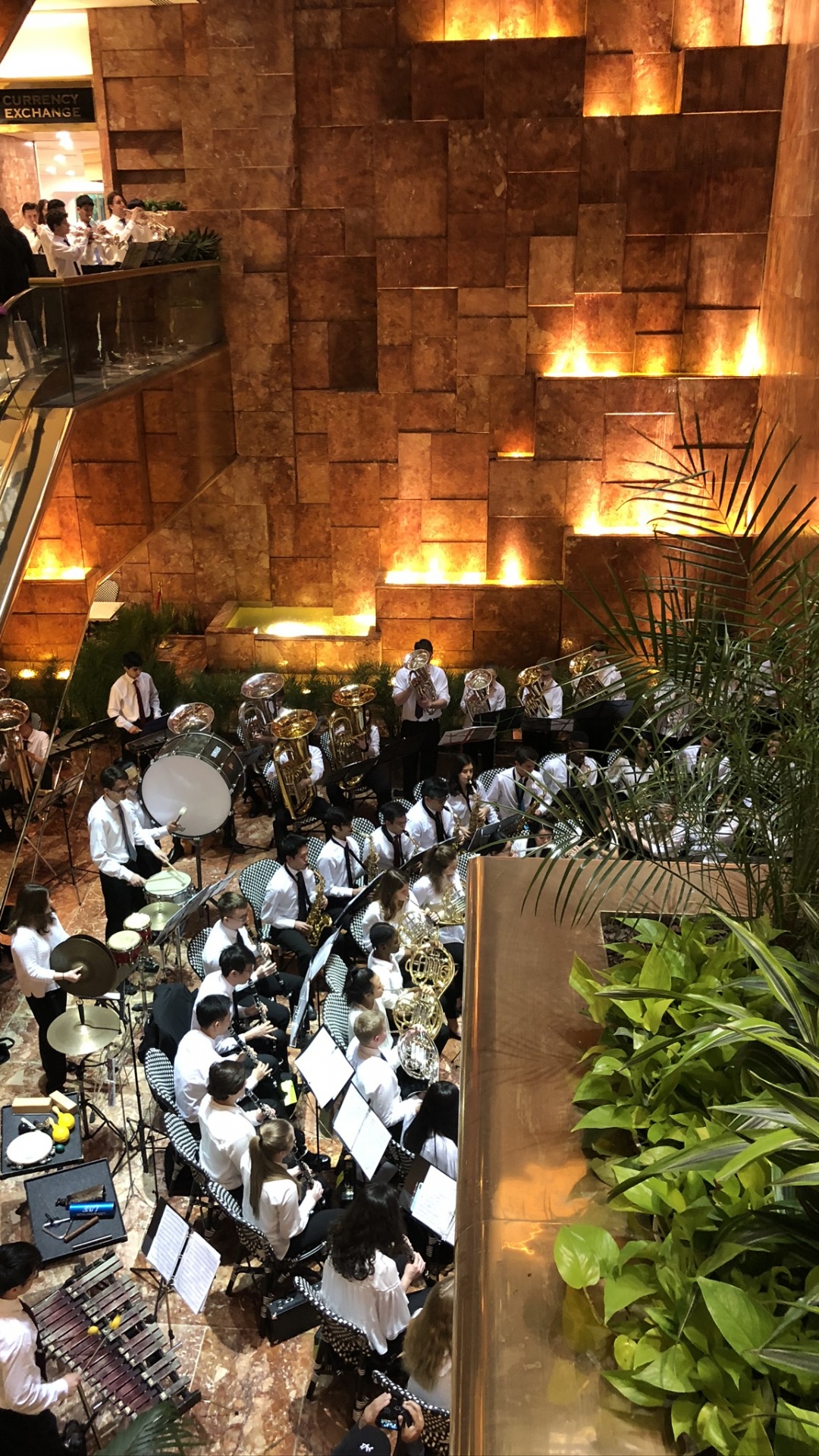 Обои ресторан, освещение, комнатное растение в разрешении 1080x1920