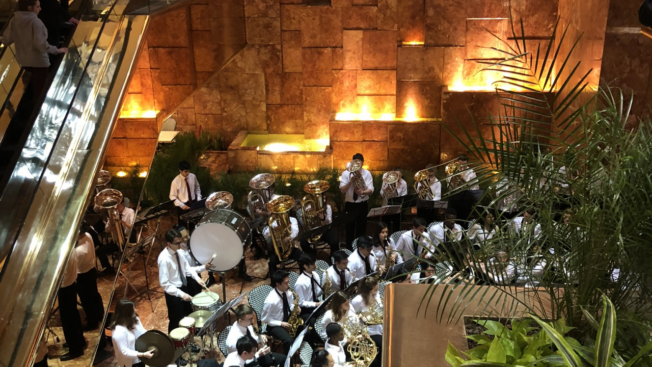 Обои ресторан, освещение, комнатное растение в разрешении 1280x720