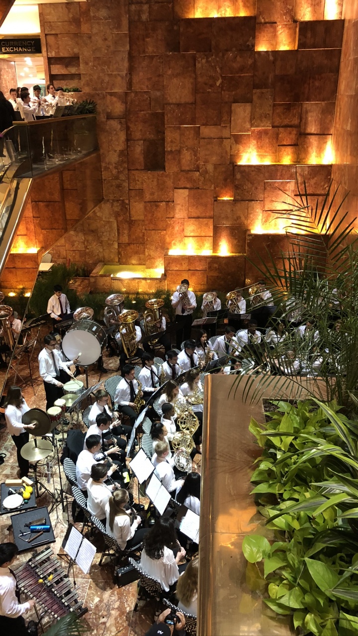 Обои ресторан, освещение, комнатное растение в разрешении 720x1280