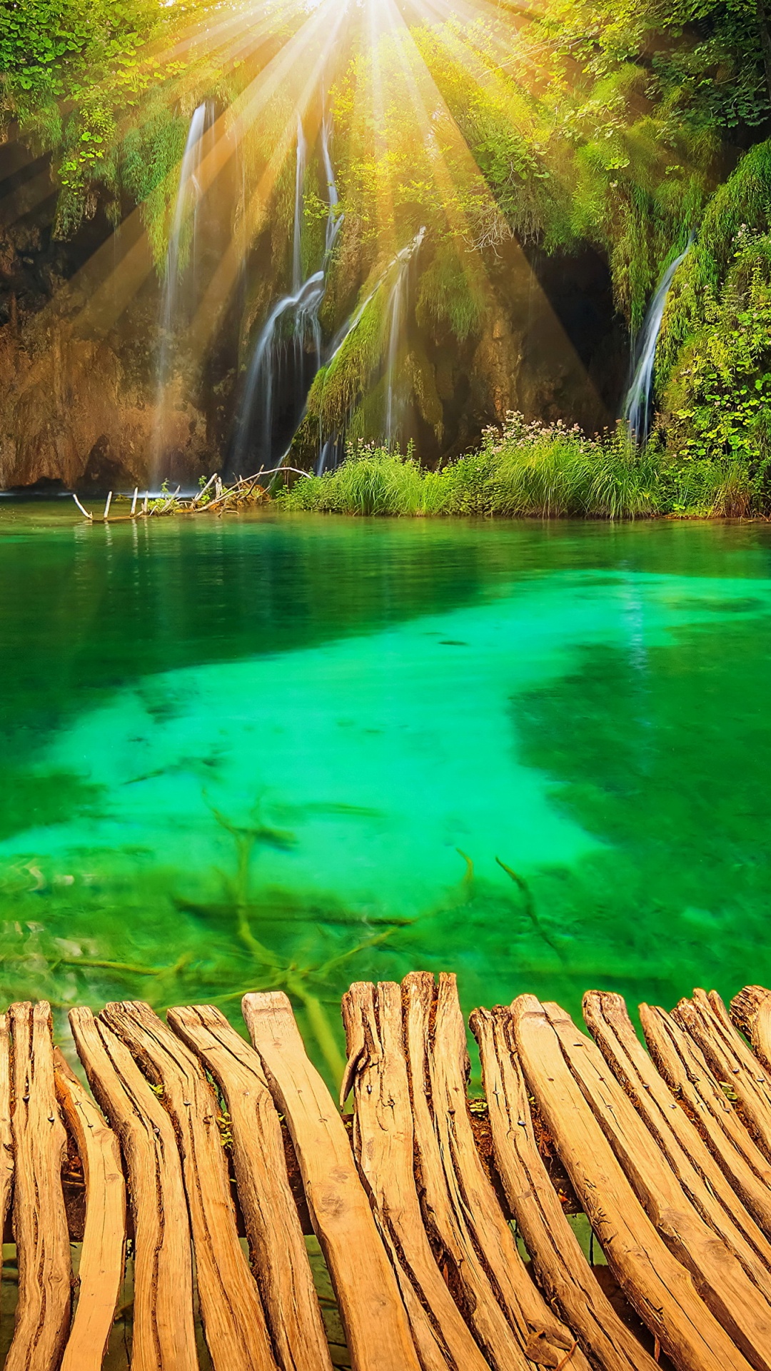 Обои природа, национальный парк плитвицкие озера, водоем, растительность, вода в разрешении 1080x1920