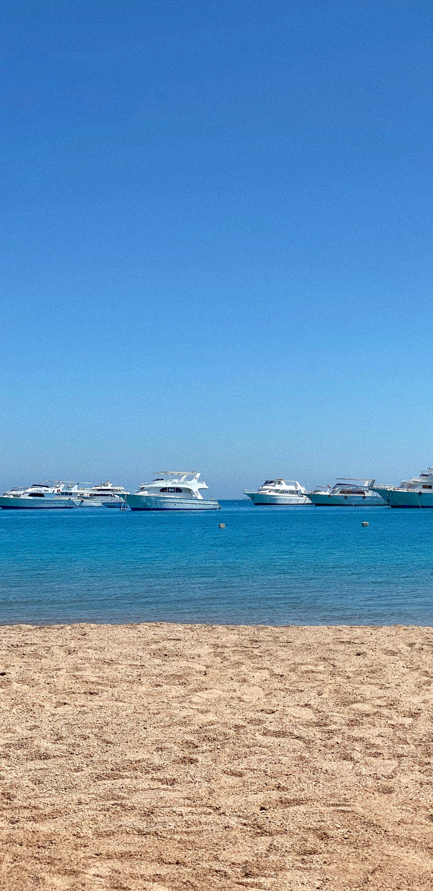 Обои море, пляж Сан-Франциско, пляж, вода, лодка в разрешении 1440x2960