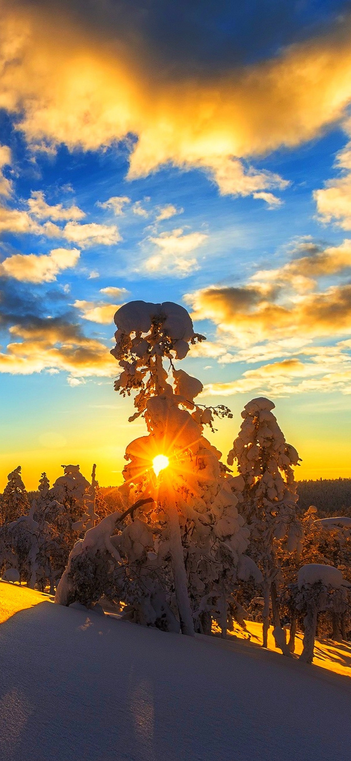 Обои закат, снег, восход солнца, природа, облако в разрешении 1125x2436
