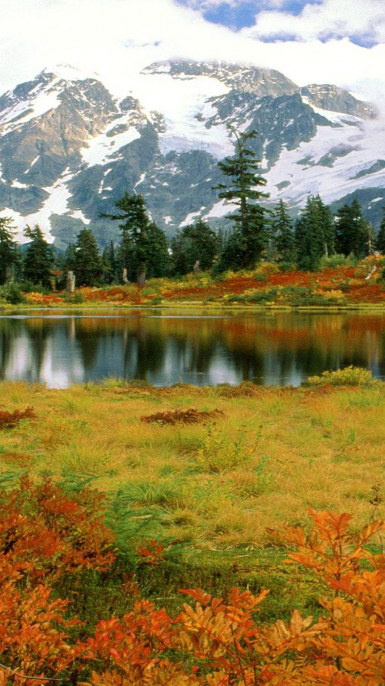 Обои МаунтБейкер, гора shuksan, гора, природа, дикая местность в разрешении 750x1334