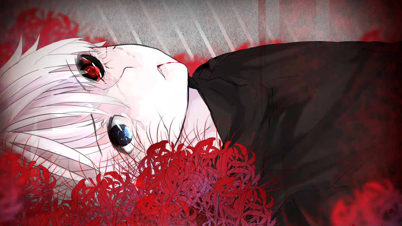 Обои Кен kaneki, Токио вурдалак, аниме, вурдалак, Манга в разрешении 1280x720