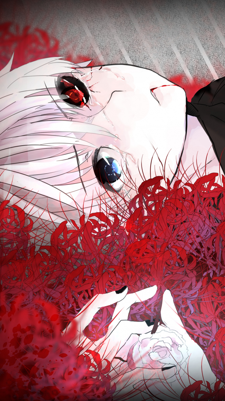 Обои Кен kaneki, Токио вурдалак, аниме, вурдалак, Манга в разрешении 750x1334