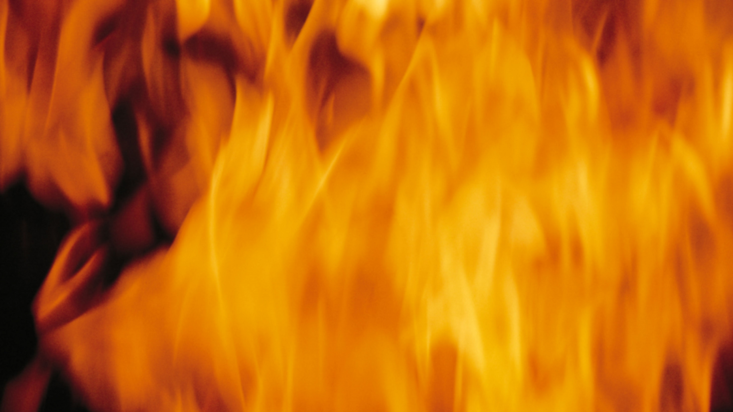 Обои огонь, пламя, Апельсин, желтый, окраска волос в разрешении 2560x1440