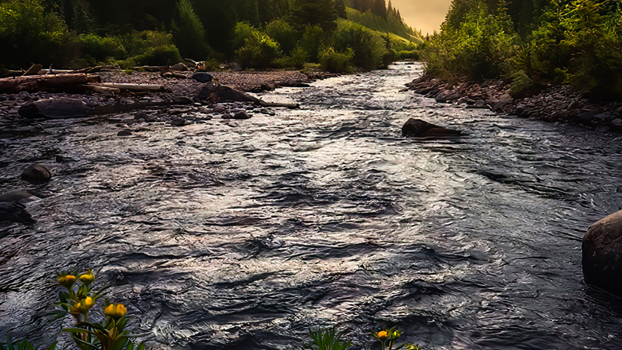 Обои природа, облако, вода, растение, гидроресурсы в разрешении 1280x720