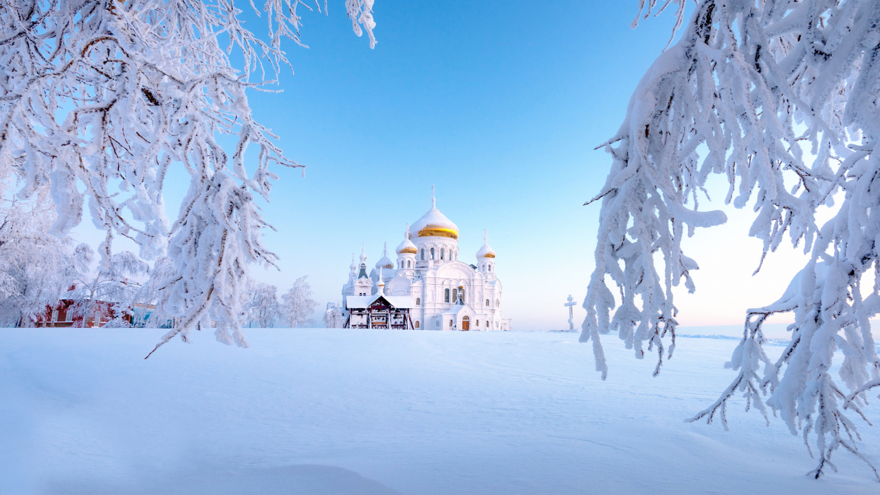 Обои снег, зима, замораживание, мороз, дерево в разрешении 1280x720