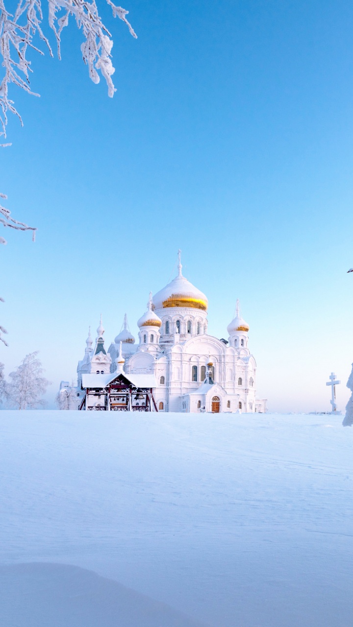 Обои снег, зима, замораживание, мороз, дерево в разрешении 720x1280