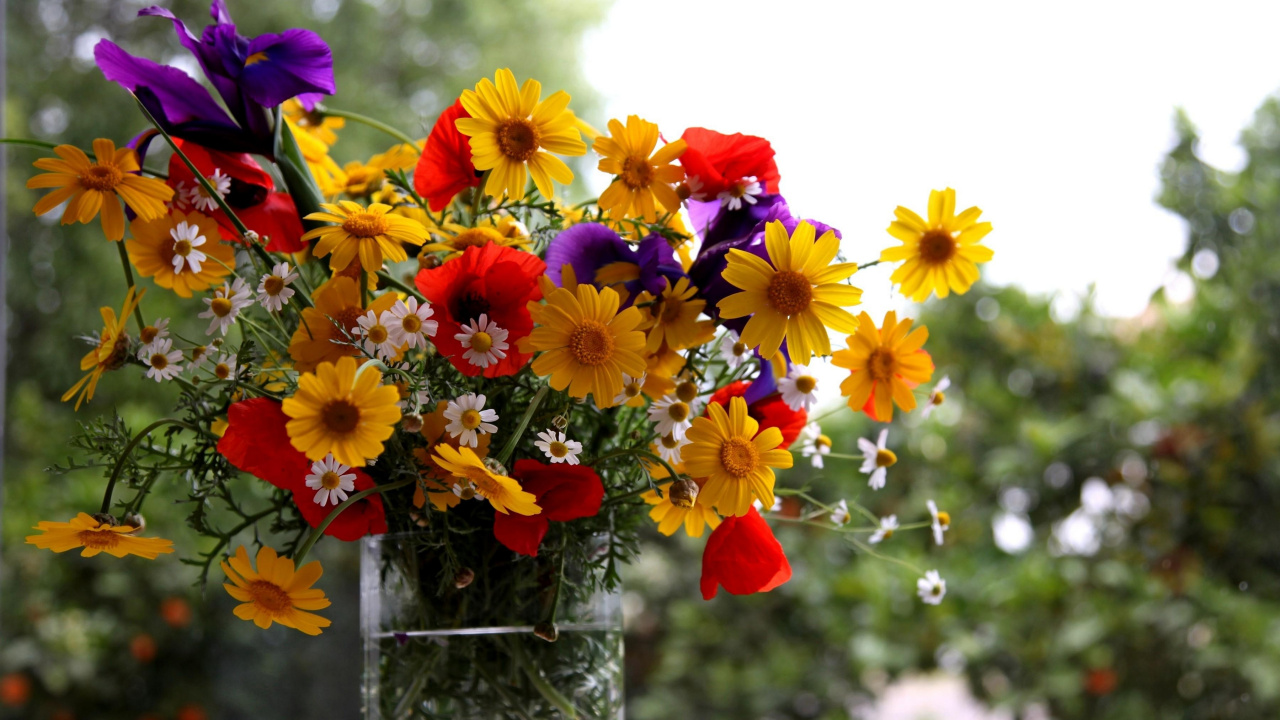 Обои цветочный букет, флористики, растение, срезанные цветы, флористика в разрешении 1280x720
