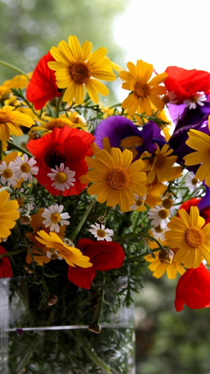 Обои цветочный букет, флористики, растение, срезанные цветы, флористика в разрешении 720x1280