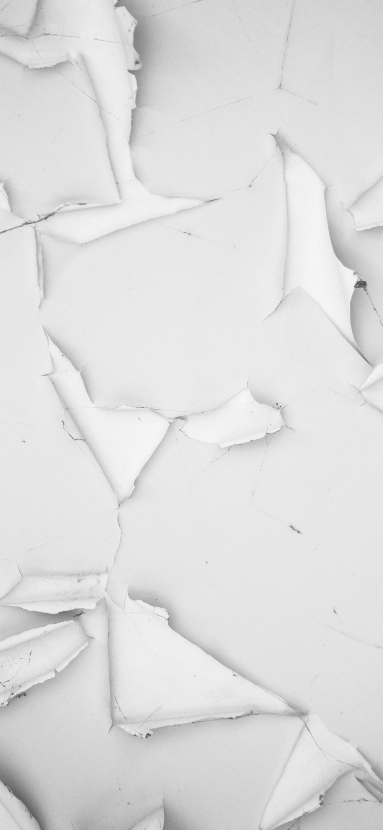 Обои оттенки серого, бумага, белые, черный и белый, архитектура в разрешении 1242x2688