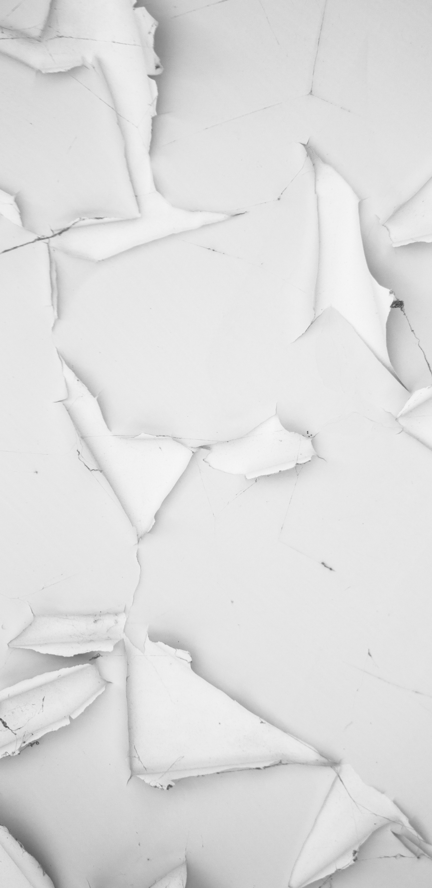 Обои оттенки серого, бумага, белые, черный и белый, архитектура в разрешении 1440x2960