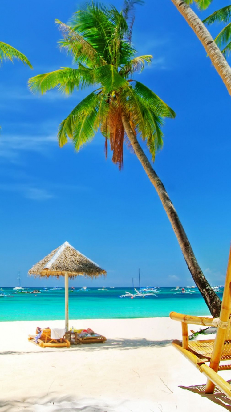 Обои пляж, тропическая зона, отпуск, Карибский бассейн, Пальма в разрешении 750x1334