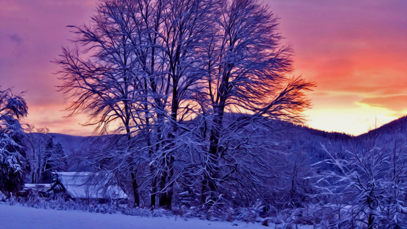 Обои зима, снег, природа, дерево, замораживание в разрешении 1366x768