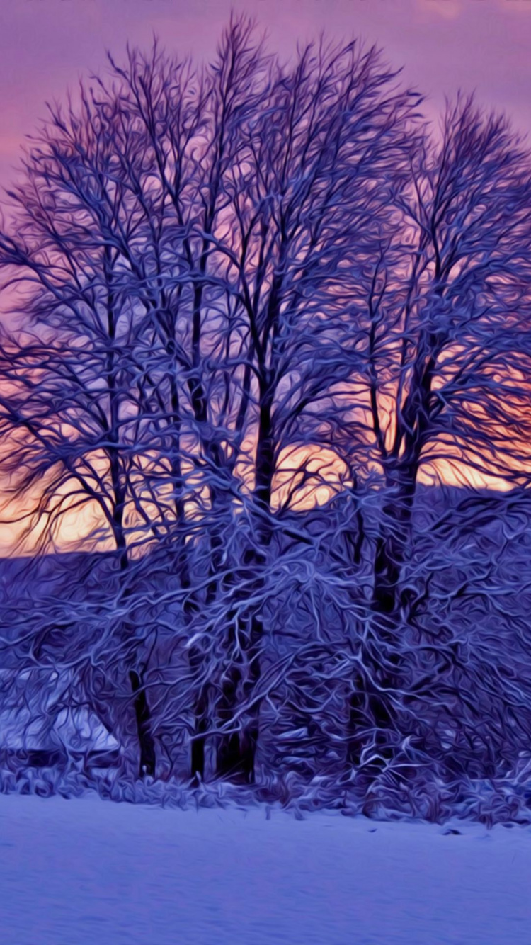 Обои зима, снег, природа, дерево, замораживание в разрешении 750x1334