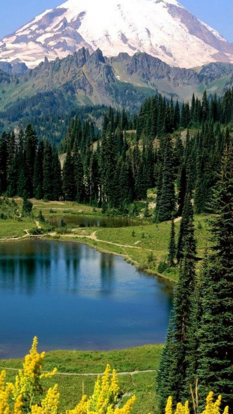 Обои парк, национальный парк, гора, природа, дикая местность в разрешении 750x1334